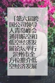 第六届跨国公司领导人青岛峰会通用航空和低空经济发展论坛举行 滨州市全方位推介低空经济发展优势