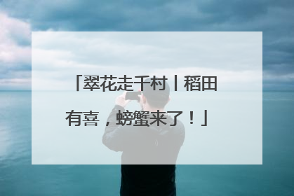 翠花走千村丨稻田有喜，螃蟹来了！