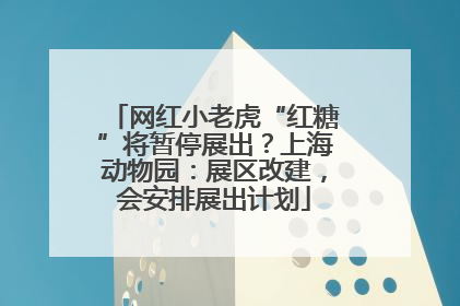 网红小老虎“红糖”将暂停展出？上海动物园：展区改建，会安排展出计划