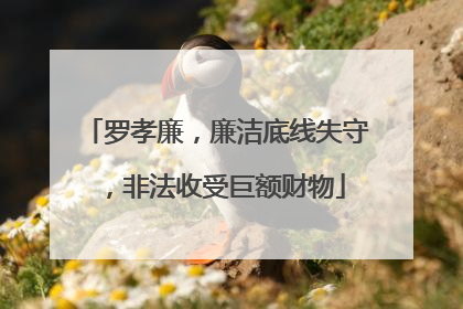 罗孝廉，廉洁底线失守，非法收受巨额财物