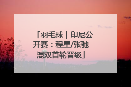 羽毛球｜印尼公开赛：程星/张驰混双首轮晋级