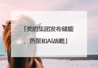 美的集团发布储能、热泵和AI战略