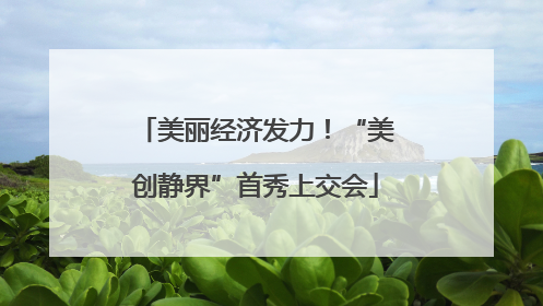美丽经济发力！“美创静界”首秀上交会