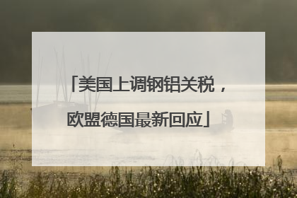 美国上调钢铝关税，欧盟德国最新回应