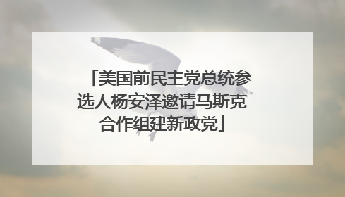 美国前民主党总统参选人杨安泽邀请马斯克合作组建新政党