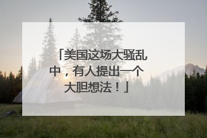 美国这场大骚乱中，有人提出一个大胆想法！