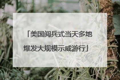美国阅兵式当天多地爆发大规模示威游行