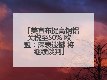 美宣布提高钢铝关税至50% 欧盟：深表遗憾 将继续谈判