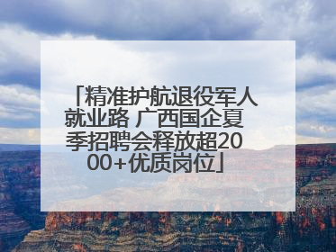 精准护航退役军人就业路 广西国企夏季招聘会释放超2000+优质岗位
