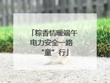粽香情暖端午 电力安全一路“童”行