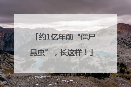 约1亿年前“僵尸昆虫”，长这样！
