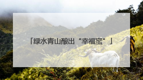 绿水青山酿出“幸福蜜”