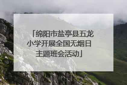 绵阳市盐亭县五龙小学开展全国无烟日主题班会活动