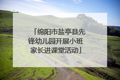 绵阳市盐亭县先锋幼儿园开展小班家长进课堂活动