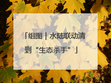 组图｜水陆联动清剿“生态杀手”