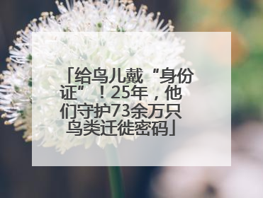 给鸟儿戴“身份证”！25年，他们守护73余万只鸟类迁徙密码