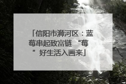 信阳市浉河区：蓝莓串起致富链 “莓”好生活入画来