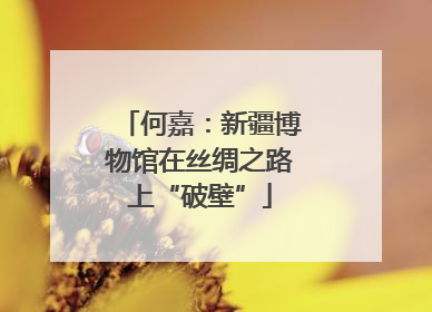 何嘉：新疆博物馆在丝绸之路上“破壁”