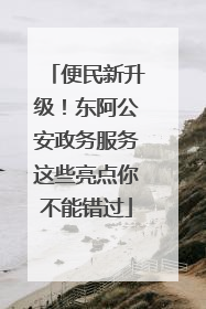 便民新升级！东阿公安政务服务这些亮点你不能错过