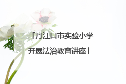 丹江口市实验小学开展法治教育讲座