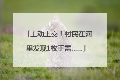 主动上交！村民在河里发现1枚手雷……