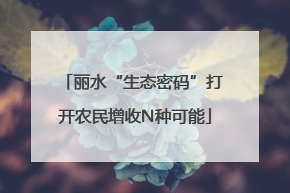 丽水“生态密码”打开农民增收N种可能