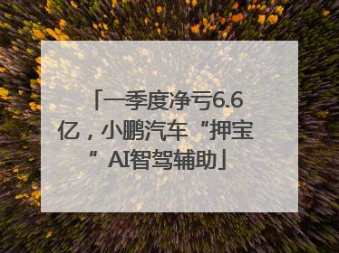 一季度净亏6.6亿，小鹏汽车“押宝”AI智驾辅助