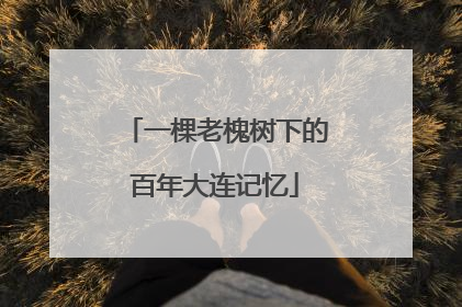一棵老槐树下的百年大连记忆