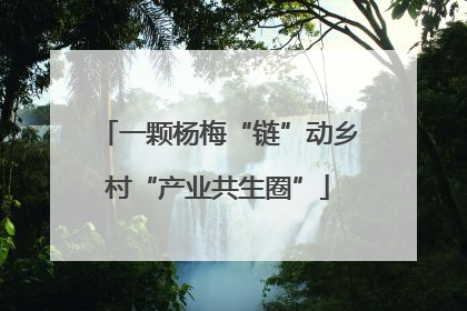 一颗杨梅“链”动乡村“产业共生圈”