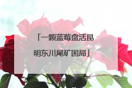 一颗蓝莓盘活昆明东川尾矿困局