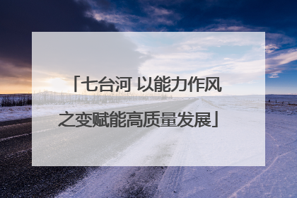 七台河 以能力作风之变赋能高质量发展