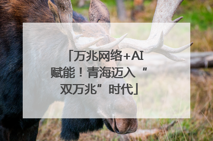 万兆网络+AI赋能！青海迈入“双万兆”时代