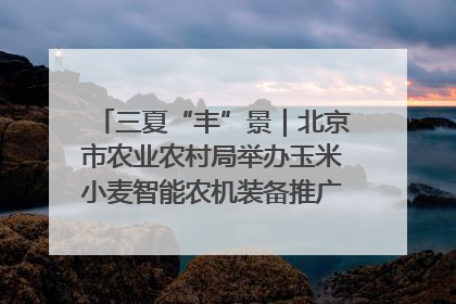 三夏“丰”景｜北京市农业农村局举办玉米小麦智能农机装备推广“田间日”活动
