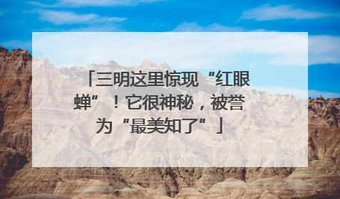 三明这里惊现“红眼蝉”！它很神秘，被誉为“最美知了”