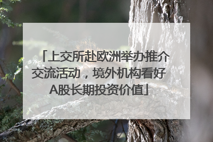 上交所赴欧洲举办推介交流活动，境外机构看好A股长期投资价值