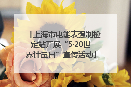 上海市电能表强制检定站开展“5·20世界计量日”宣传活动