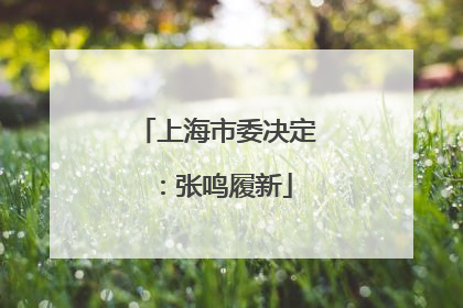 上海市委决定：张鸣履新