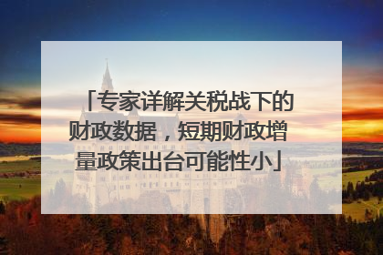 专家详解关税战下的财政数据，短期财政增量政策出台可能性小