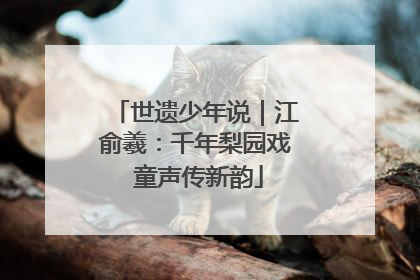 世遗少年说｜江俞羲：千年梨园戏 童声传新韵