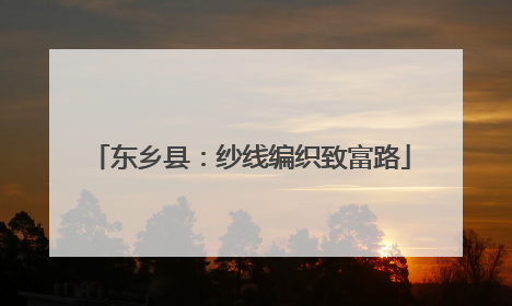 东乡县：纱线编织致富路