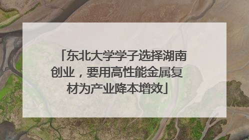 东北大学学子选择湖南创业，要用高性能金属复材为产业降本增效