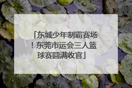 东城少年制霸赛场！东莞市运会三人篮球赛圆满收官