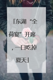 东湖“全荷宴”开席，一口吃掉夏天