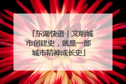东湖快语｜文明城市创建史，就是一部城市精神成长史