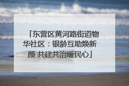 东营区黄河路街道物华社区：银龄互助焕新颜 共建共治暖民心