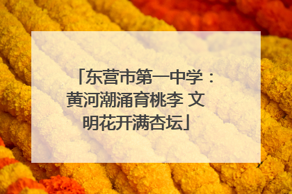 东营市第一中学：黄河潮涌育桃李 文明花开满杏坛
