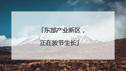 东部产业新区，正在拔节生长