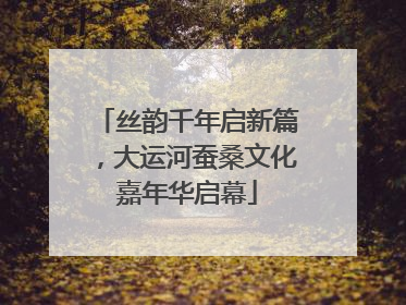 丝韵千年启新篇，大运河蚕桑文化嘉年华启幕
