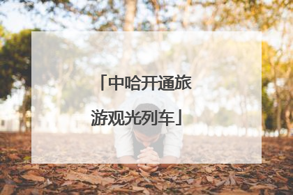 中哈开通旅游观光列车