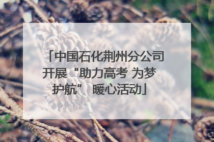 中国石化荆州分公司开展“助力高考 为梦护航” 暖心活动